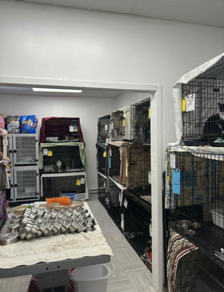 SPCA